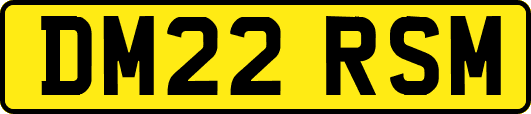 DM22RSM