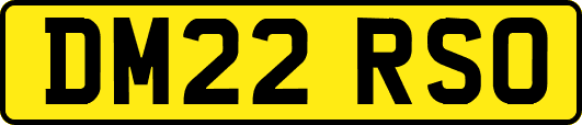DM22RSO