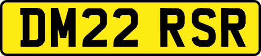 DM22RSR
