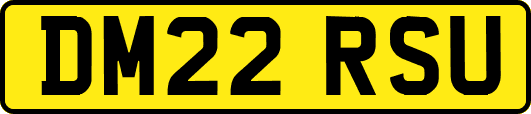 DM22RSU