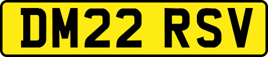 DM22RSV