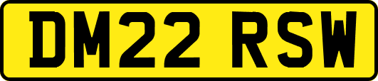 DM22RSW