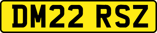 DM22RSZ