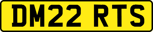 DM22RTS