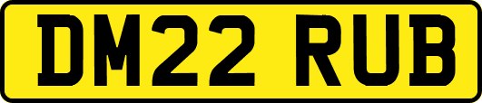 DM22RUB