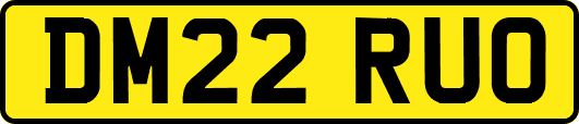 DM22RUO