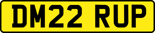 DM22RUP