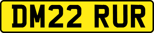 DM22RUR