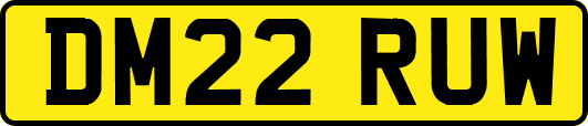 DM22RUW