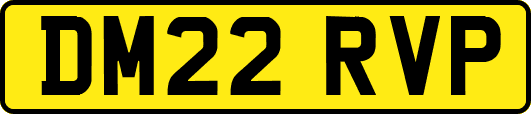 DM22RVP