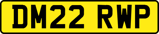 DM22RWP