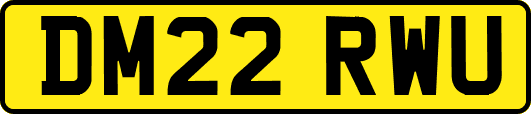 DM22RWU