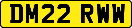 DM22RWW