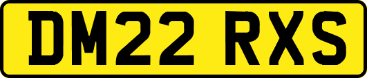 DM22RXS