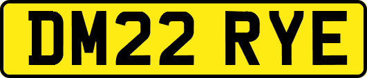 DM22RYE