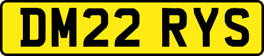 DM22RYS