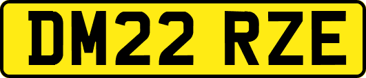 DM22RZE