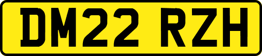 DM22RZH