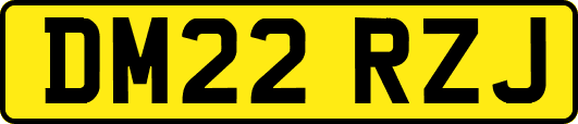 DM22RZJ