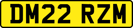 DM22RZM