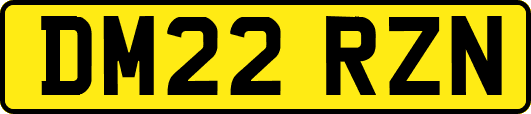 DM22RZN