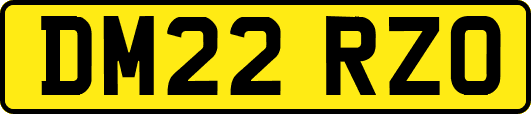 DM22RZO