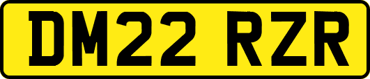 DM22RZR