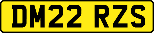 DM22RZS
