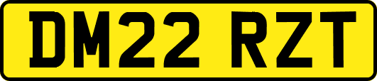 DM22RZT