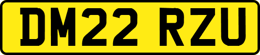 DM22RZU