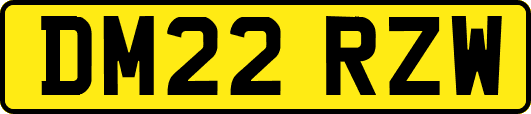 DM22RZW