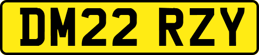 DM22RZY