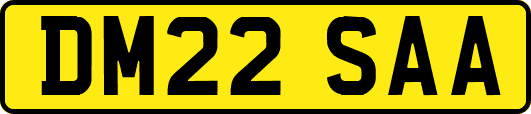 DM22SAA
