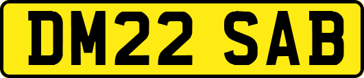 DM22SAB