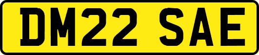 DM22SAE