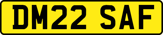 DM22SAF