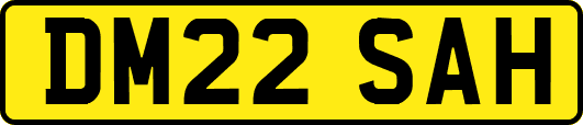 DM22SAH