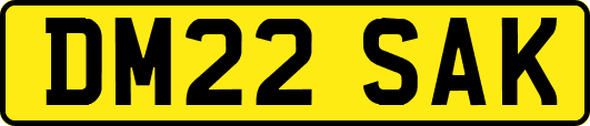 DM22SAK