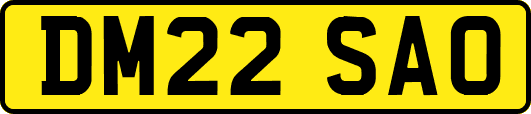 DM22SAO
