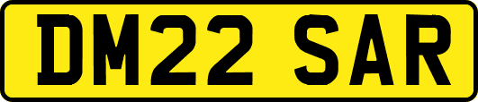 DM22SAR