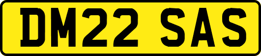 DM22SAS