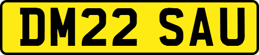 DM22SAU