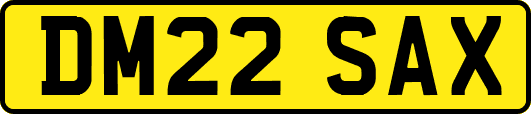 DM22SAX