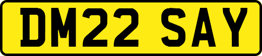 DM22SAY
