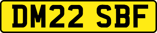DM22SBF