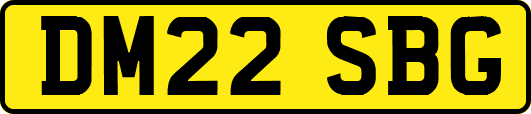 DM22SBG