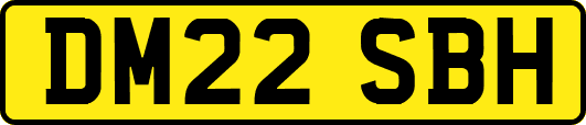 DM22SBH