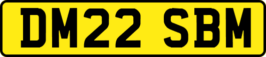 DM22SBM