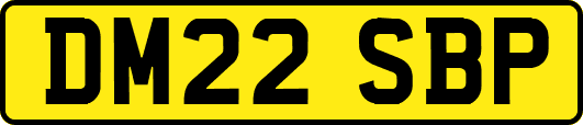 DM22SBP