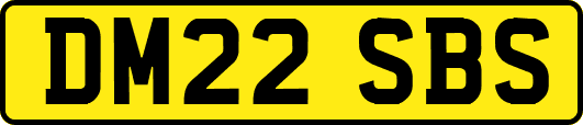 DM22SBS
